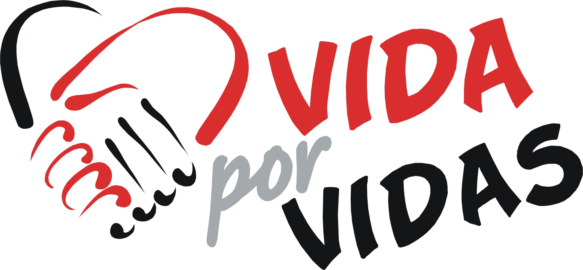 logo_vpv.jpg