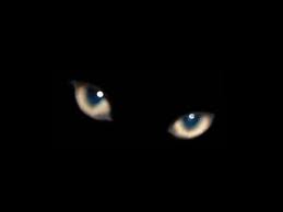 s_e_x_t_a___f_e_i_r_a__1_3