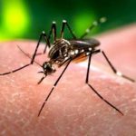 midi_campanha-contra-dengue-2013