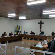 câmara vereadores bandeirantes
